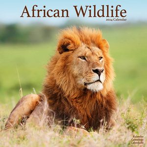 African Wildlife 2024 Calendar