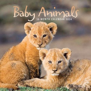 Baby Animals 2024 Calendar