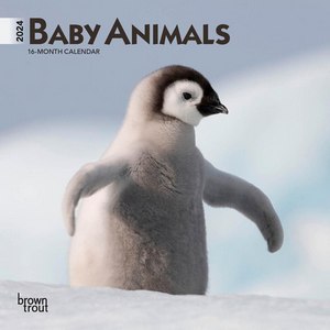 Baby Animals 2024 Calendar
