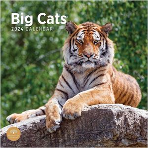 Big Cats 2024 Calendar