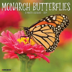 Monarch Butterflies 2024 Calendar