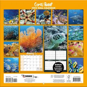 Coral Reef 2024 Calendar