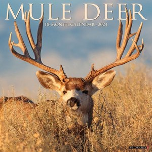 Mule Deer 2024 Wall Calendar