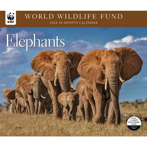 Elephants WWF 2024 Wall Calendar