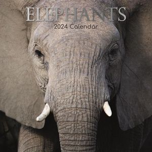 Elephants 2024 Wall Calendar