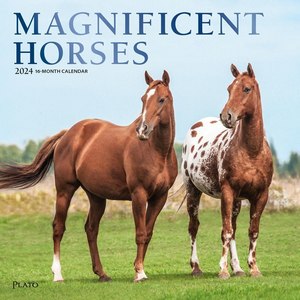 Magnificent Horses 2024 Calendar