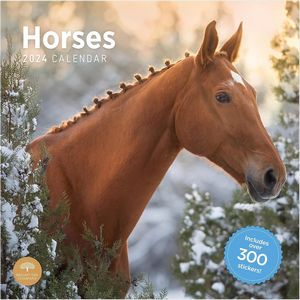 Horses 2024 Calendar