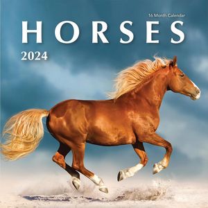Horses 2024 Calendar