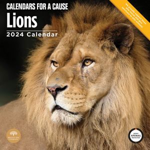 Lions 2024 Calendar