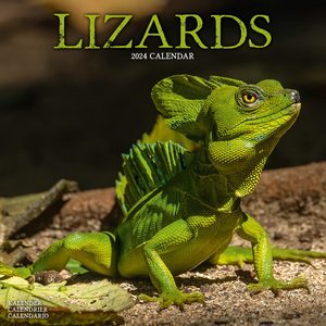 Lizards 2024 Calendar