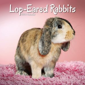 Lop-Eared Rabbits 2024 Calendar