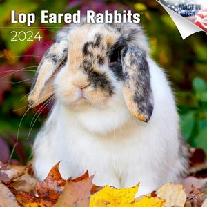 Lop Eared Rabbits 2024 Calendar