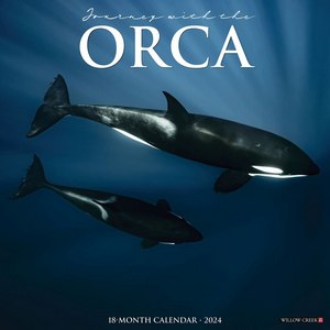 Orca 2024 Calendar