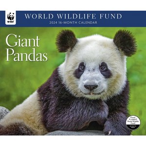 Giant Pandas 2024 Calendar