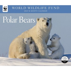 Polar Bears 2024 Calendar