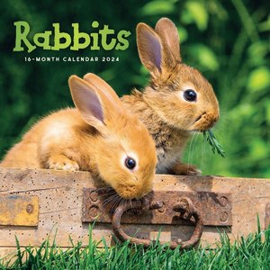 Rabbits 2024 Wall Calendar