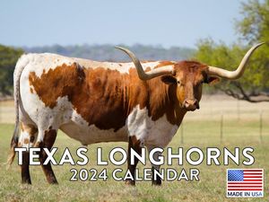 Texas Longhorns 2024 Calendar