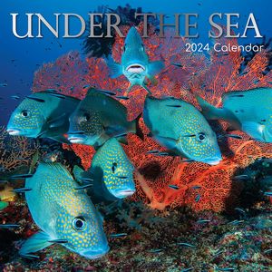 Under The Sea 2024 Calendar