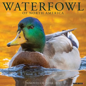 Waterfowl 2024 Calendar