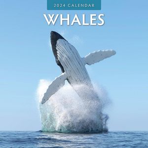 Whales 2024 Calendar