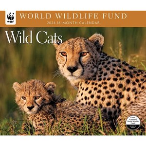 Wild Cats 2024 Wall Calendar