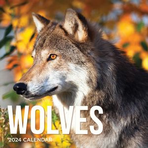 Wolves 2024 Calendar
