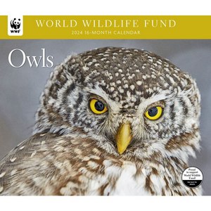 Owls WWF 2024 Wall Calendar