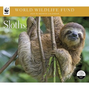 Sloths WWF 2024 Wall Calendar