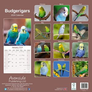 Budgerigars 2024 Calendar