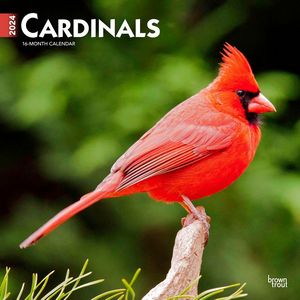 Cardinals 2024 Calendar