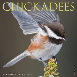 Chickadees 2024 Calendar