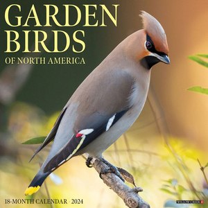 Garden Birds 2024 Calendar