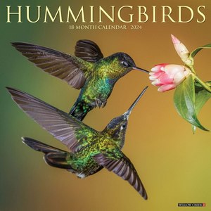 Hummingbirds 2024 Calendar