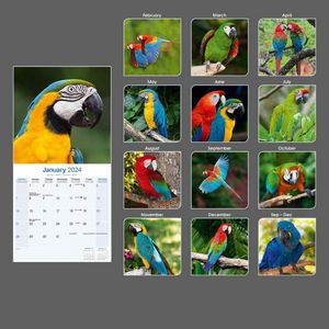 Macaws 2024 Calendar