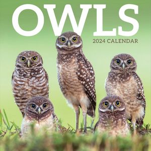 Owls 2024 Calendar