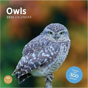 Owls 2024 Calendar