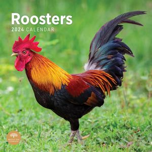 Roosters 2024 Calendar