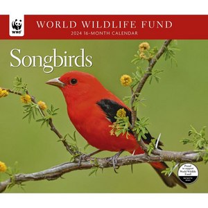 Songbirds 2024 Calendar