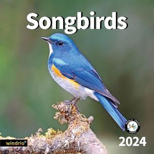 Songbirds 2024 Calendar