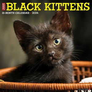 Black Kittens 2024 Calendar
