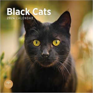 Black Cats 2024 Calendar