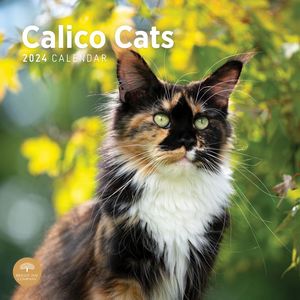 Calico Cats 2024 Calendar