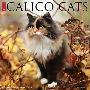 Calico Cats 2024 Calendar