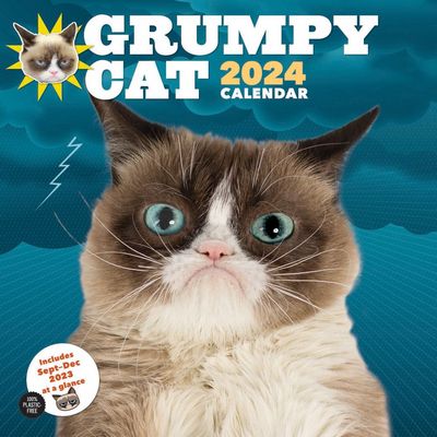 Grumpy Cat 2024 Calendar