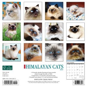 Himalayan Cats 2024 Calendar