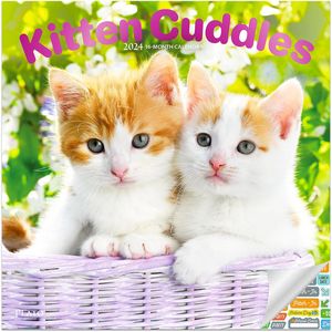 Kitten Cuddles 2024 Calendar