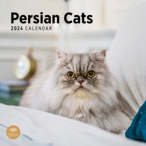 Persian Cats 2024 Calendar