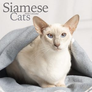 Siamese Cats 2024 Calendar