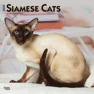 Siamese Cats 2024 Calendar