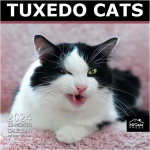 Tuxedo Cats 2024 Calendar
